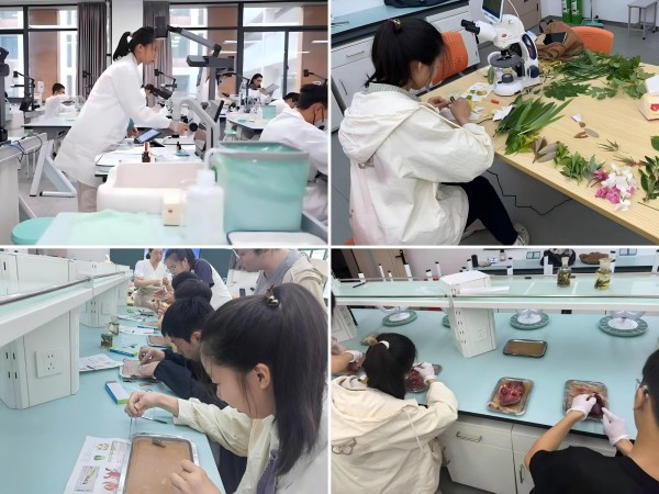 ba9cb689bbdd41b3adbcc3f5964d1449.jpg ba9cb689bbdd41b3adbcc3f5964d1449.jpg